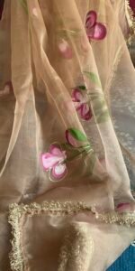 Pastel handpaint pure organza saree - Image 5