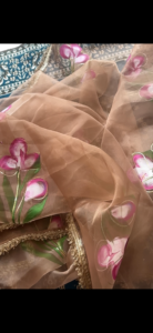 Pastel handpaint pure organza saree - Image 6