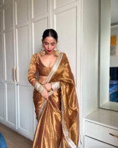 A Padmavat- golden tissue saree - Image 3