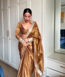 A Padmavat- golden tissue saree - Image 4